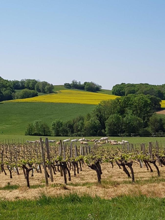 Camping D'Artagnan Margouet-Meymes Buitenkant foto